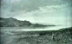 A View Of The Coast