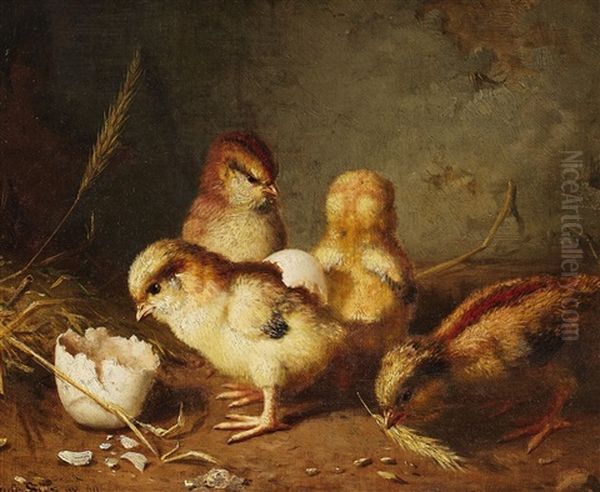 Four Chicks - view 1