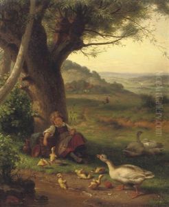 The Disordered Ducklings