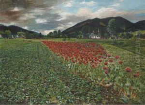 The Poppy Field