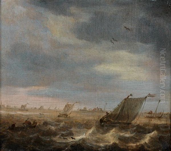 Marine - view 1
