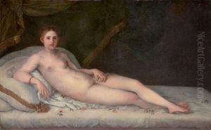 Venus Allongee