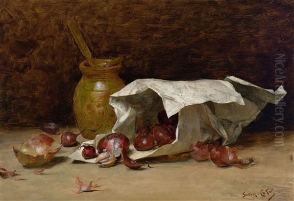 Onions - view 1