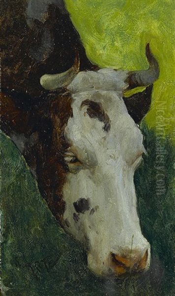 Study Of A Cow - view 1
