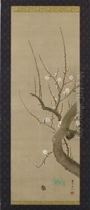Red And White Plum Blossoms by Kiitsu Suzuki