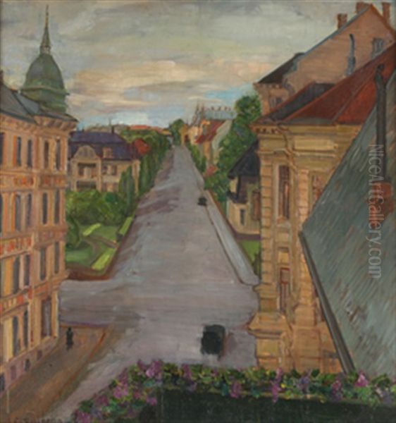 Fra Thomas Heftyes Bakken - view 1