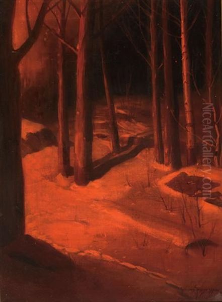 Nocturnal Forest Scene - view 1