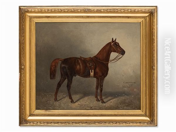 Noble Racehorse - view 1