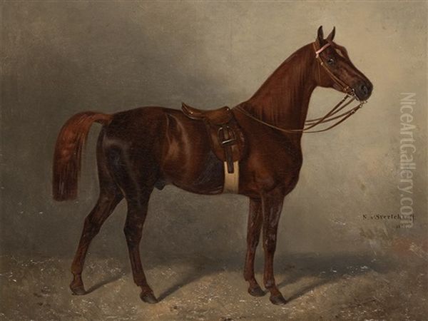 Noble Racehose - view 1
