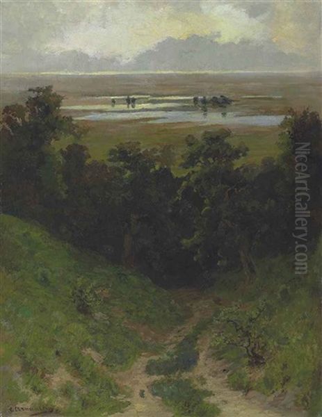 Flooded Plain - view 1