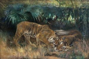 Bengal Tigers