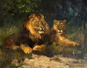 Studies Of Lions And A Tiger (a Pair) by Cuthbert Edmund Swan