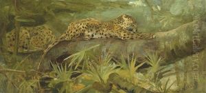 Leopards At Rest