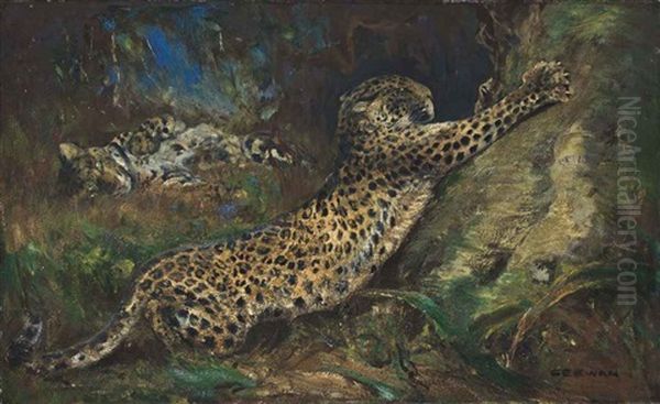 Contentment - Leopards - view 1