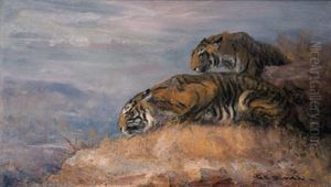 Watchers On The Hill