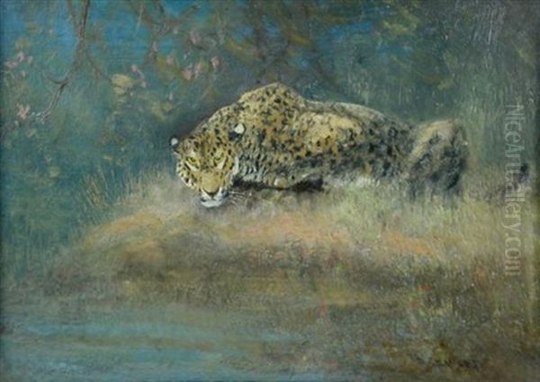 Leopard - view 1