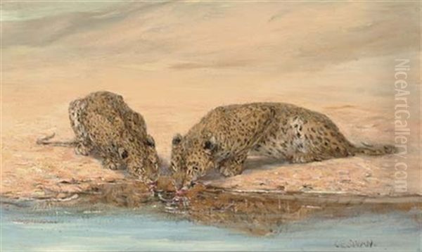 African Leopards - view 1