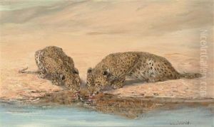 African Leopards by Cuthbert Edmund Swan