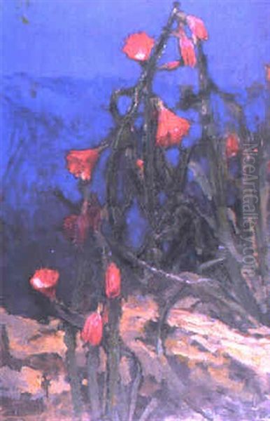 Flowering Cacti - view 1