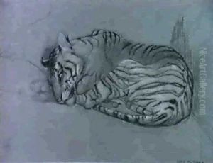 Ruhender Tiger by John Macallan Swan