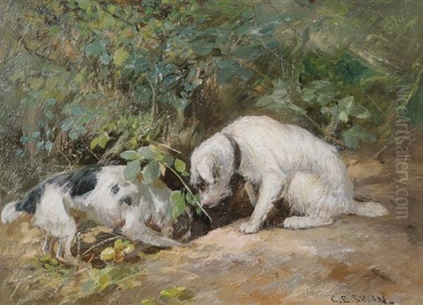 Terriers At Rabbit Hole - view 1