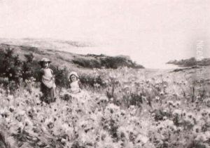 A Summer's Evening On The Clifftops