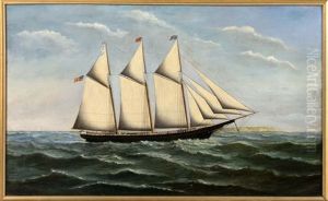 The Alice Montgomery by Joseph Park Sweetser