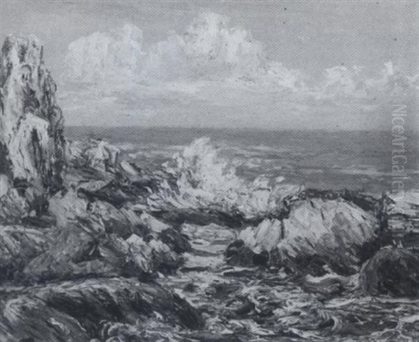 Rocky Coast - view 1