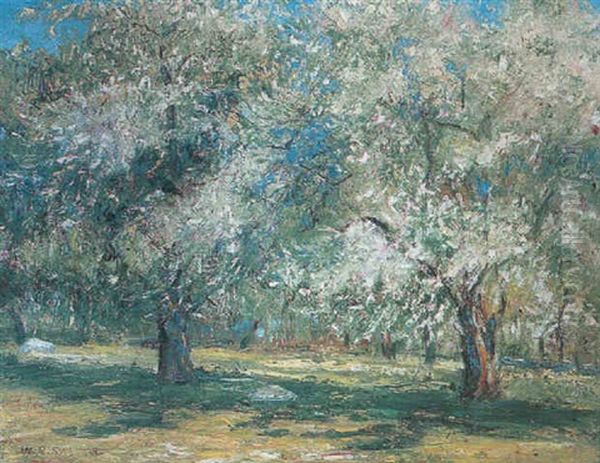 Apple Blossoms, Dutchess County, New York - view 1