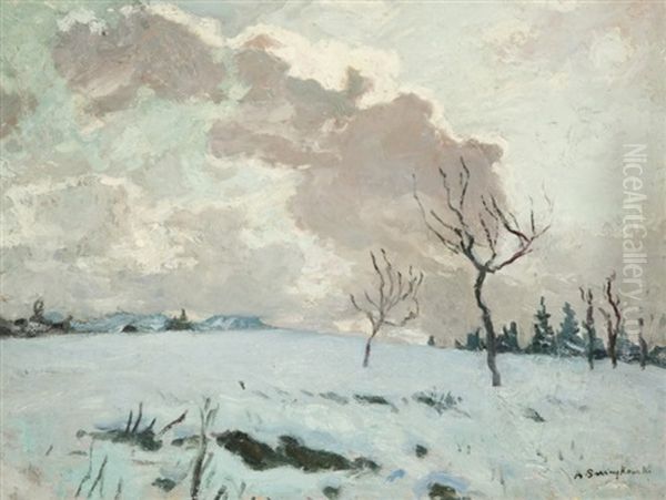 Ciel De Neige En Haute-savoie - view 1