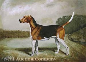 The Duke Of Beaufort's Champion Stud Dog, Vaulter, Peterboro, 1899