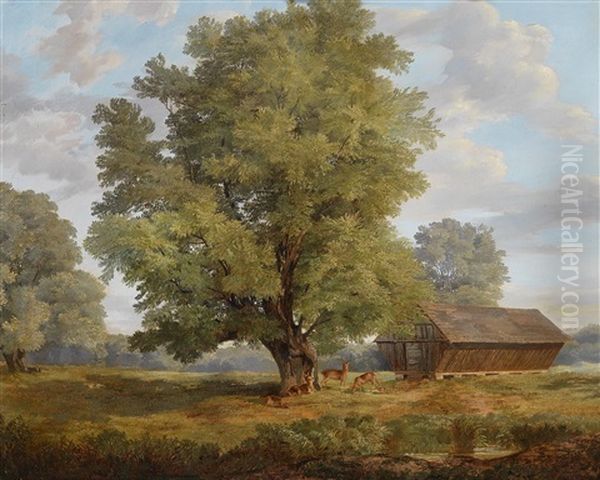 Hirsche In Der Praterau - view 1