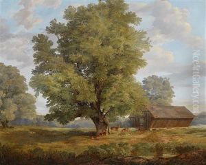 Hirsche In Der Praterau