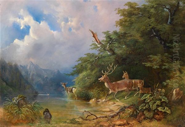 Rotwildrudel Am Seeufer - view 1