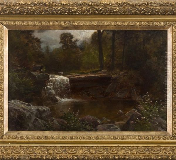 Woodland Brook With Waterfall - view 1