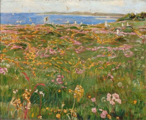 A Field Of Flower Near Vejlo Fiord - view 1