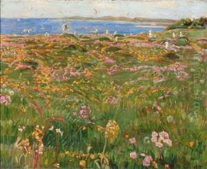 A Field Of Flower Near Vejlo Fiord