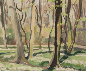 A Spring Forest