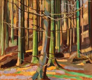Sunshine Through Af Dense Forest