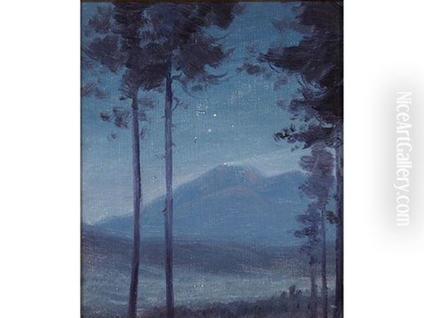 Nocturne - view 1