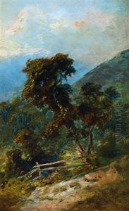 Hillside Hillside