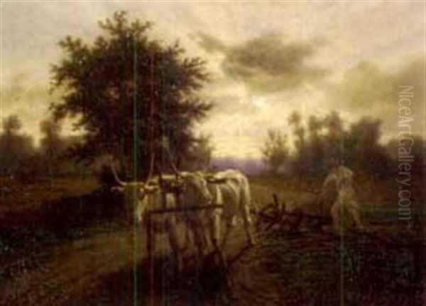 Pflugender Mit Ochsengespann - view 1