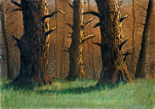Forest View - view 1