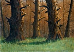 Forest View by Jeno Szepesi-Kuszka