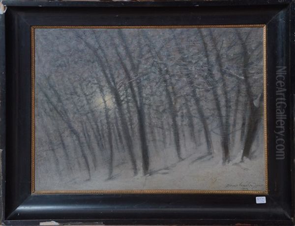 Paysage Enneige - view 1