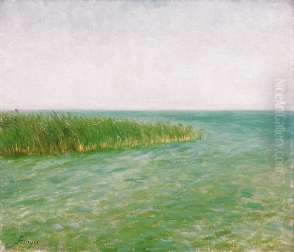 Balaton Szele - Bivalyfurdo (the Edge Of Lake Balaton) - view 1