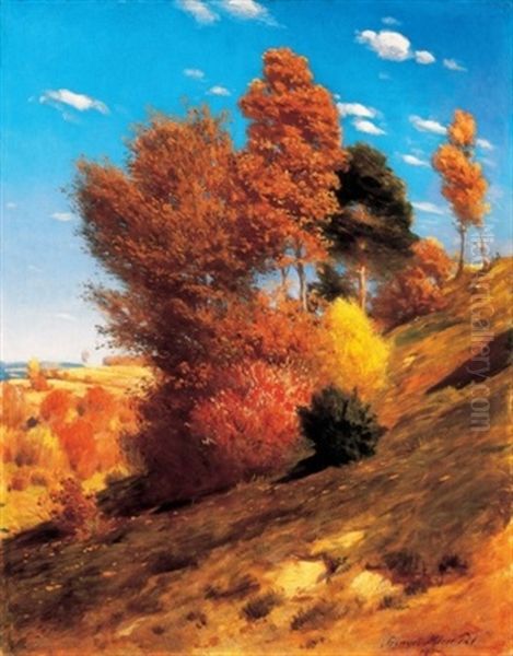 Oszi Szinek (autumn) - view 1