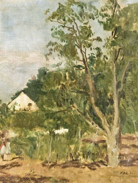 Erdoszele - view 1