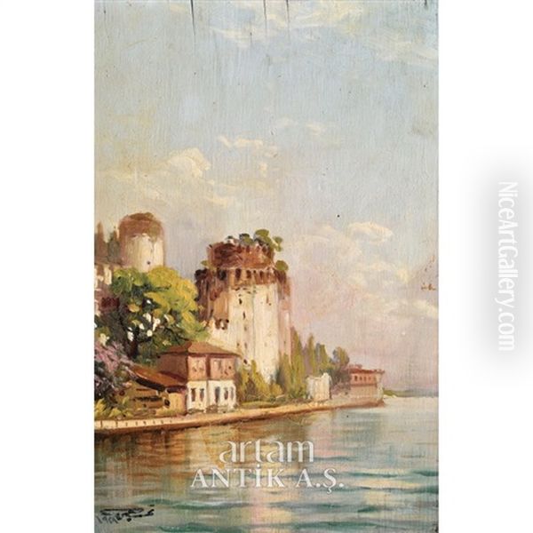 Hisar - view 1