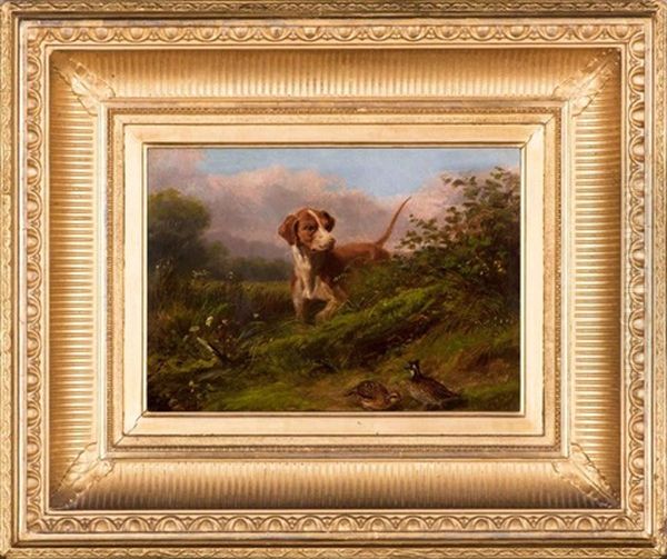 Dog And Snipe - view 1